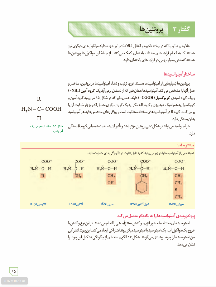 زیست شناسی 3 - پایۀ دوازدهم - دورۀ دوم متوسطه: فصل 1- مولکول های اطلاعاتی: گفتار 3 - پروتئین ها