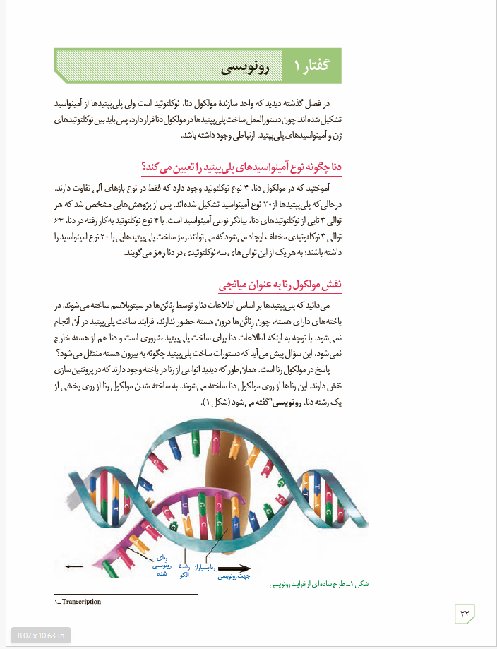 زیست شناسی 3 - پایۀ دوازدهم - دورۀ دوم متوسطه: فصل 2- جریان اطلاعات در یاخته : گفتار 1 – رونویسی