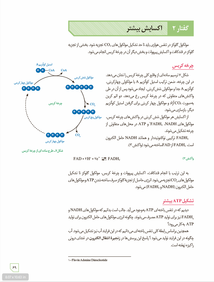 زیست شناسی 3 - پایۀ دوازدهم - دورۀ دوم متوسطه: فصل 5- از ماده به انرژی: گفتار 2 - اکسایش بیشتر