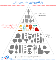 پاورپوینت پروتئین ها