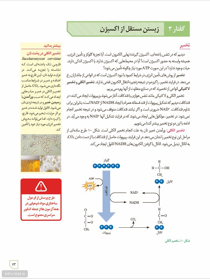 زیست شناسی 3 - پایۀ دوازدهم - دورۀ دوم متوسطه: فصل 5- از ماده به انرژی: گفتار 3 - زیستن مستقل از اکس