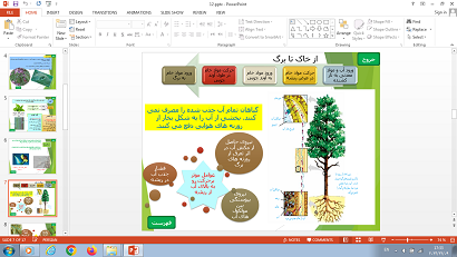 پاورپوینت فصل دوازدهم علوم تجربی پایه نهم: دنیای گیاهان
